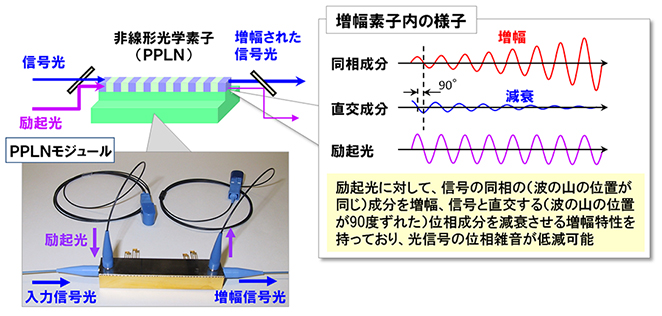 なにが特長？