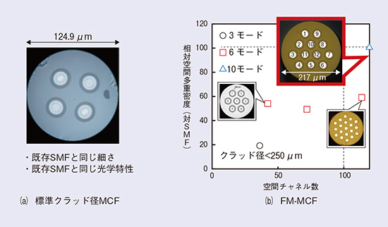図2 標準クラッド径MCFとFM-MCFの研究開発例