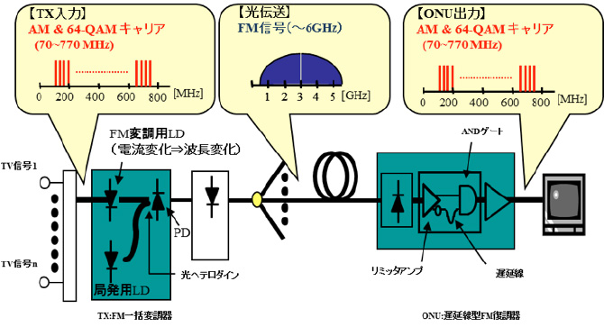 FM一括変換方式による光CATV映像伝送システム実用化