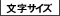 文字サイズ