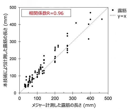 技術性能：メジャー計測した露筋と本技術で計測した露筋長さの比較