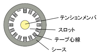 中継系光ファイバケーブル（300心）