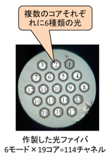 作製した光ファイバ