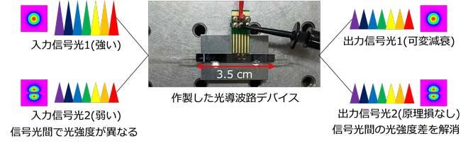 作製したデバイスの外観と信号光間の光強度差の低減イメージ