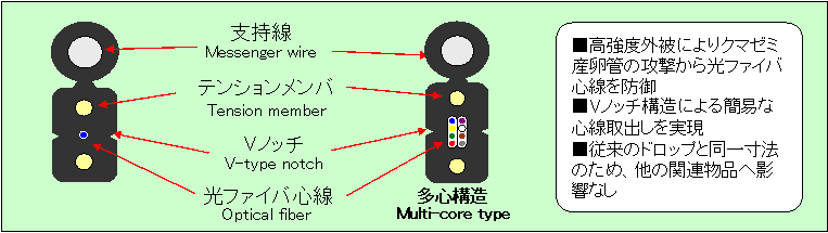 図４　高強度外被型ドロップ光ファイバの構造