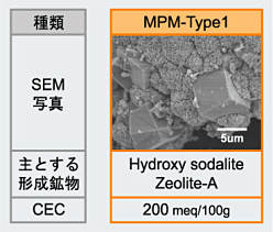 図2 MPM−Type1