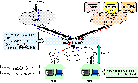 図1　IGAPを用いた映像配信ネットワーク例