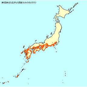 図1 クマゼミの生息分布図
