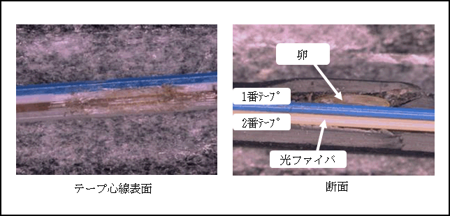 図3 断線箇所の損傷状況