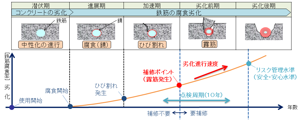 図２　鉄筋コンクリートの劣化過程