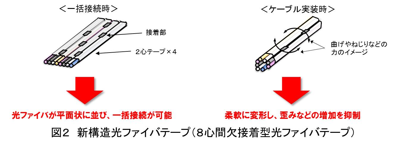 図2 新構造光ファイバテープ（8心間欠接着型光ファイバテープ）
