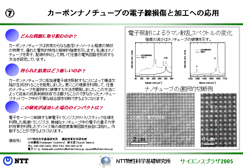 カーボンナノチューブの電子線損傷と加工への応用