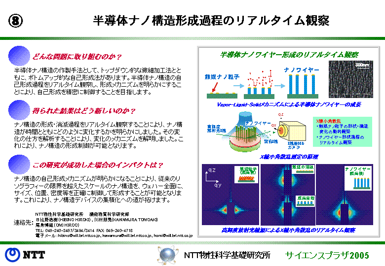 半導体ナノ構造形成過程のリアルタイム観察