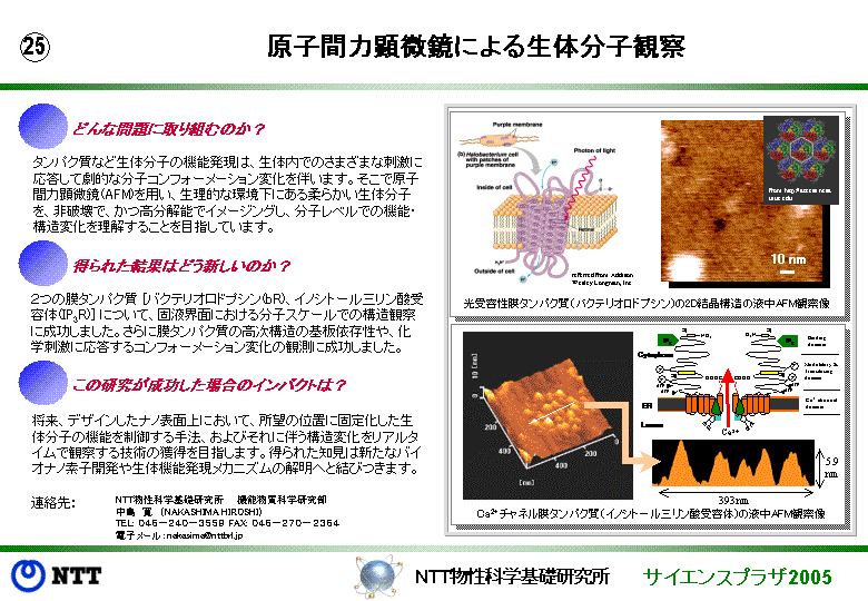 原子間力顕微鏡による生体分子観察