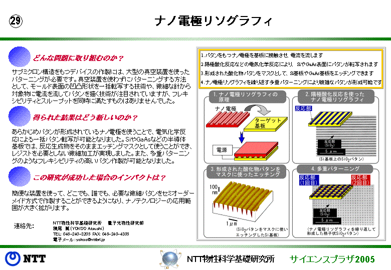 ナノ電極リソグラフィ