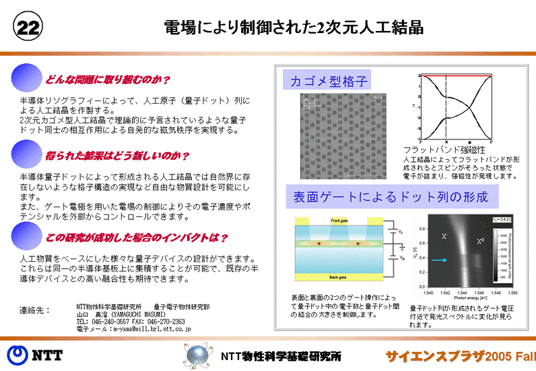 電場により制御された2次元人工結晶