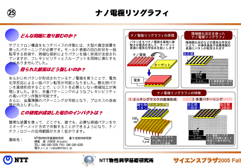 ナノ電極リソグラフィ