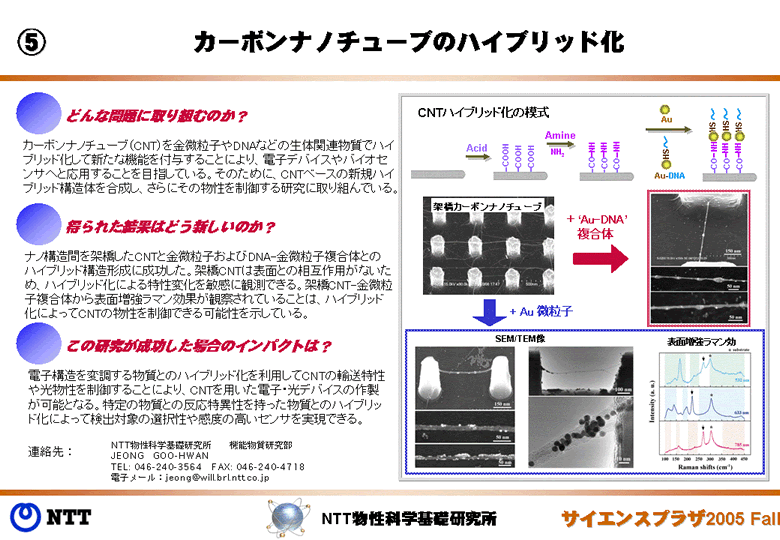 カーボンナノチューブのハイブリッド化