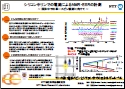 No.21 シリコン中のリンに対するNMR・ESRの電気的計測