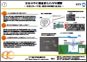No.7 生体分子の構造変化のAFM観察