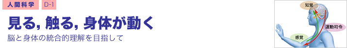 人間科学 D-1 見る，触る，身体が動く ―脳と身体の統合的理解を目指して―