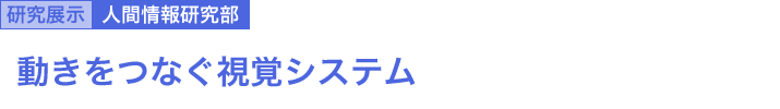 動きをつなぐ視覚システム