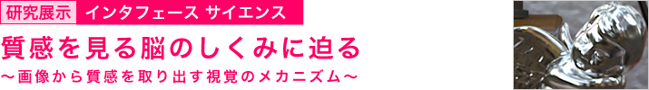 質感を見る脳のしくみに迫る ~画像から質感を取り出す視覚のメカニズム~