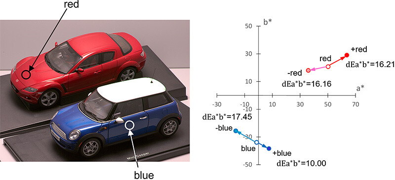 Fig. 2b: Coloring simulation