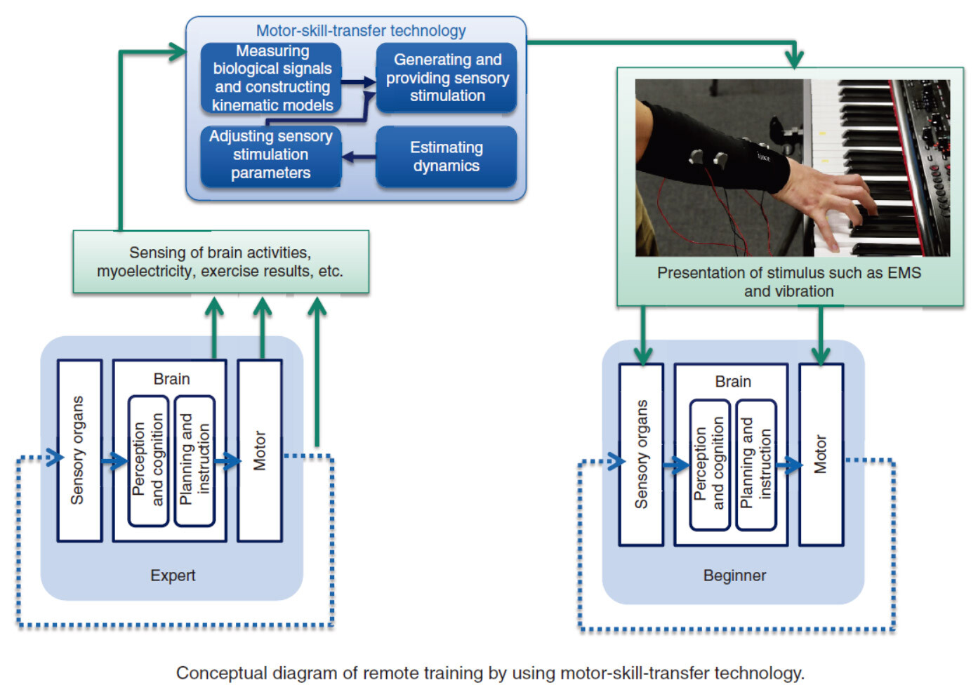 motor skill transfer technology
