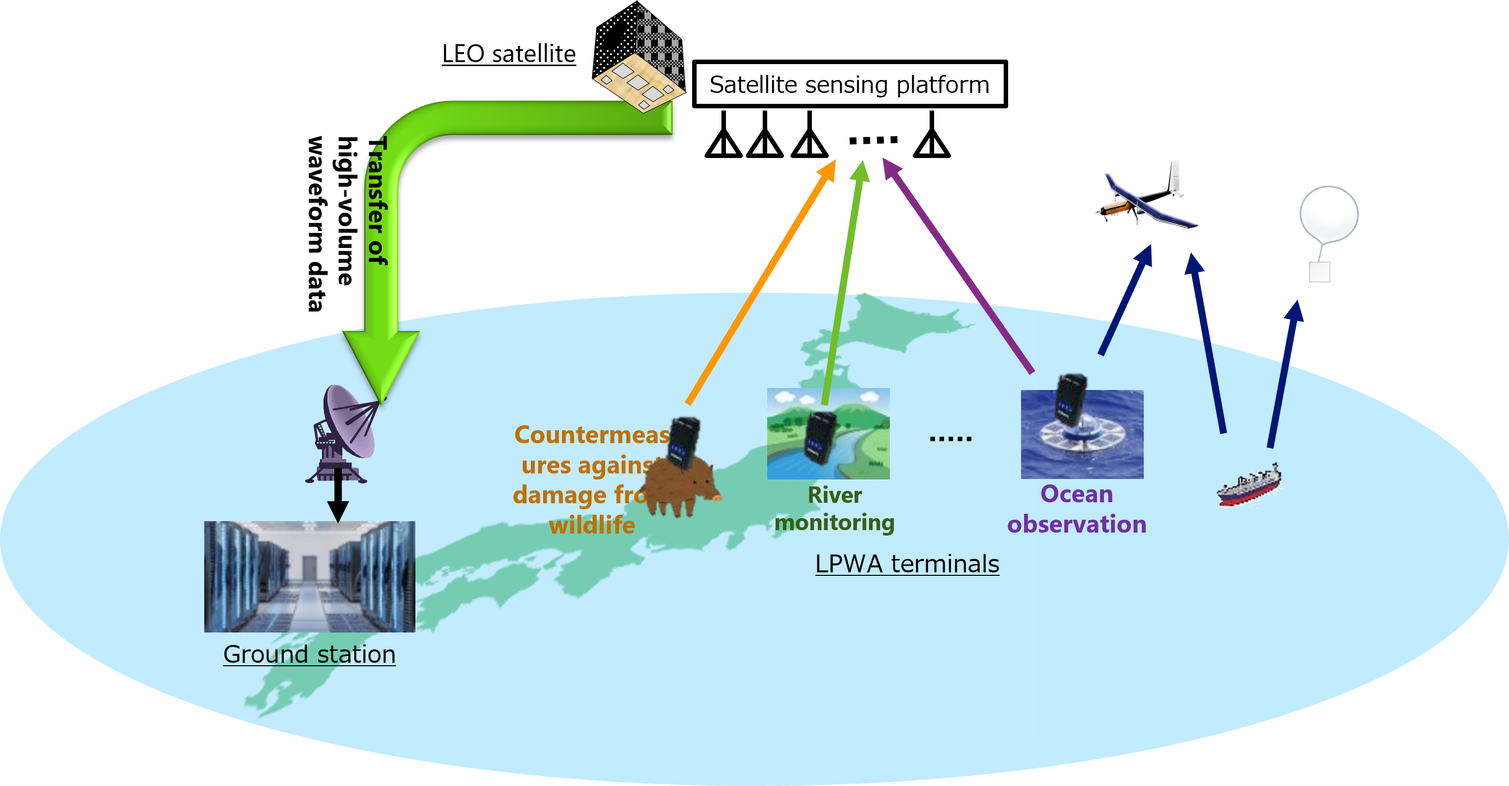IoT