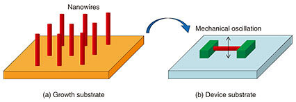 fa10_fig01.jpg