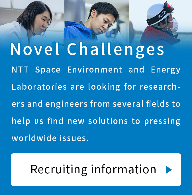 Recruiting Information - Novel Challenges