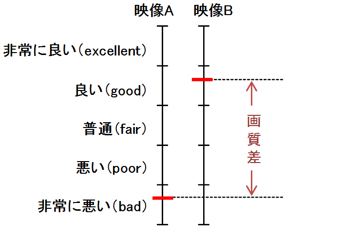 図1.5.6 DSCQSの評価カテゴリ