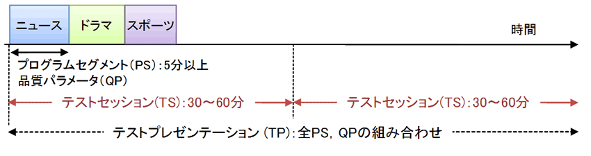 図1.5.7 SSCQE評価の流れ