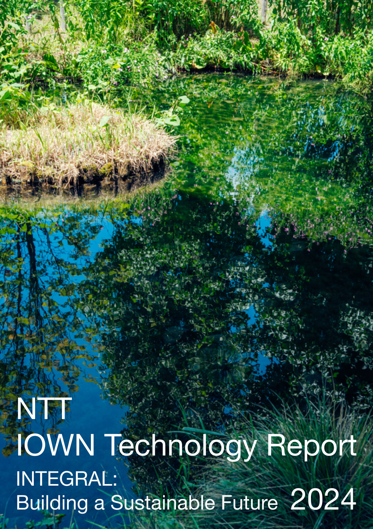 NTT_TRFSW_2024.jpg