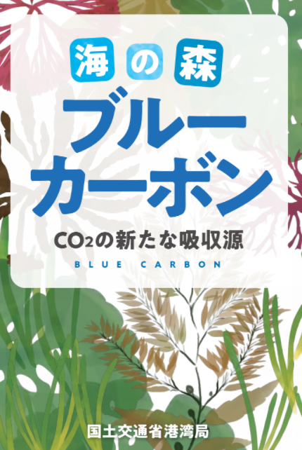 （画像出典：国土交通省港湾局『海の森 ブルーカーボン』）