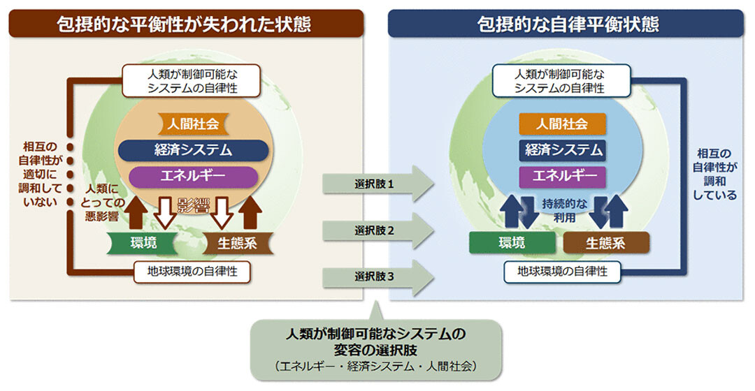 包摂的な自律平衡状態