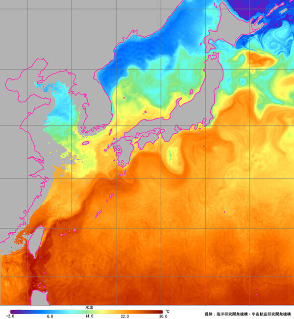 JAXAひまわりモニタ：海中天気予報による水深50mの海水温（2024年6月15日）。高水温の黒潮の流れがフィリピン沖から日本南岸に帯のように続いている。（画像出典：『JAXAひまわりモニタ 海中天気予報』）