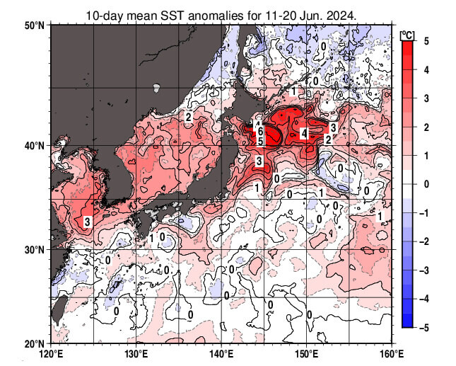 2024年6月中旬の平均海面水温の平年差。黒潮が大蛇行している四国‐紀伊半島沖は冷水渦があるため平年より温度が低く、黒潮続流の北偏とそこからちぎれた暖水渦のある東日本‐北海道南東海域で著しい高温偏差が見られる。（画像出典：気象庁『旬平均海面水温』2024年6月中旬 日本近海 平年差）
