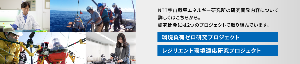 研究開発内容